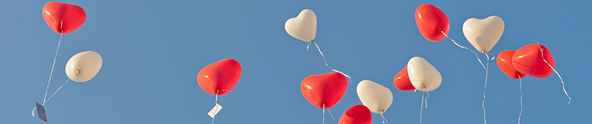 Fotograf Und Fotostudio In Ravensburg Professionelle Produktfotografie Panoramen Und Hochzeitsfotografie